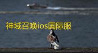 神域召唤ios国际服  3.5.1